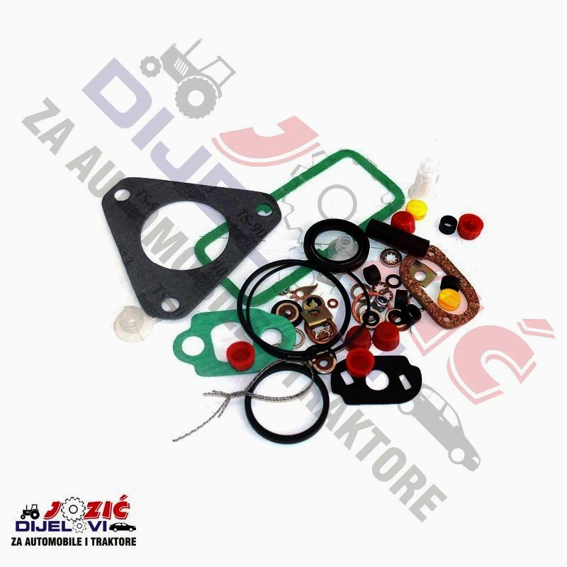 Daisy on the Ohoopee